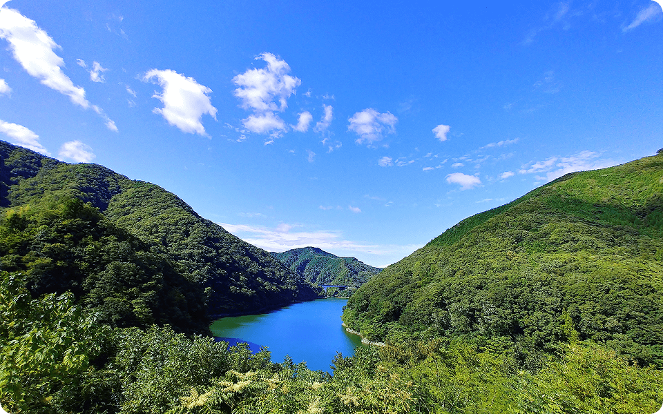 企業価値の向上SDGs/ESG経営への貢献